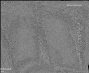 Ft848q740?file=thumbnail