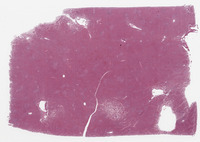 J098zb128?file=thumbnail