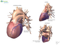 Kh04dp79j?file=thumbnail