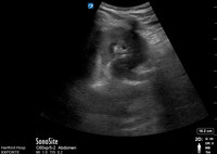 Wp988j859?file=thumbnail